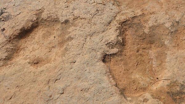Gobi Çölü'nde titanozora ait ayak izi keşfedildi - Sputnik Türkiye