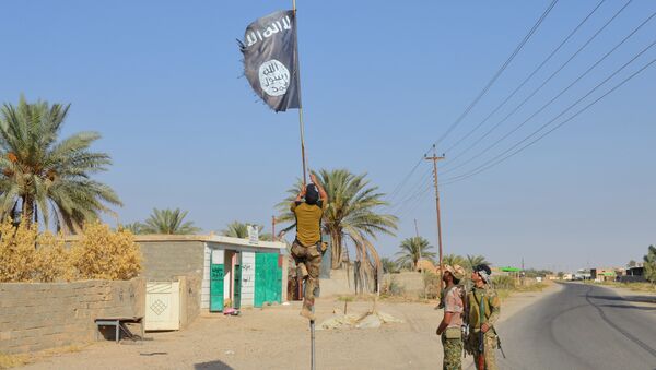 Irak askerleri Anbar'daki IŞİD bayrağını indirdi. - Sputnik Türkiye