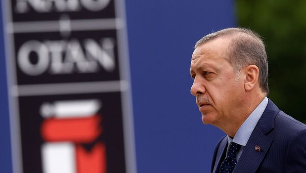 Recep Tayyip Erdoğan / NATO - Sputnik Türkiye