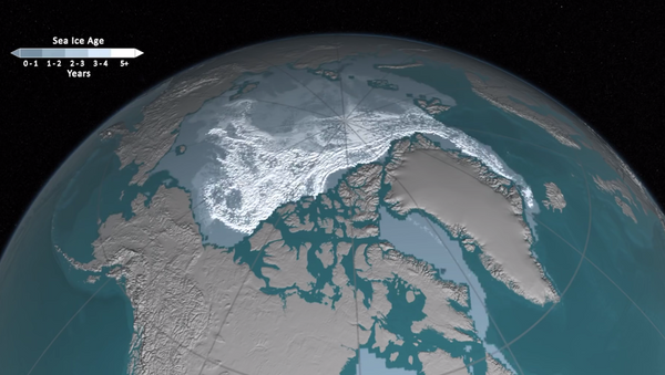Kuzey Buz Denizi'ndeki buzulların erimesi - Sputnik Türkiye