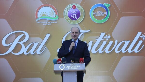 Başbakan Yardımcısı Numan Kurtulmuş, Ordu'da düzenlenen Bal Festivali'ne katıldı. - Sputnik Türkiye