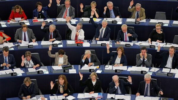 Avrupa Parlamentosu'nda milletvekilleri - Sputnik Türkiye