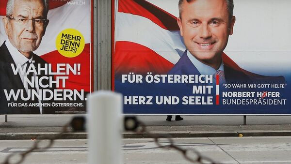 Avusturya, yenilenen cumhurbaşkanlığı seçimlerinin ikinci turu için bugün sandık başında. - Sputnik Türkiye
