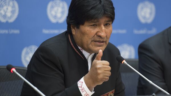Bolivya Devlet Başkanı Evo Morales, BM'de konuşma yaparken - Sputnik Türkiye