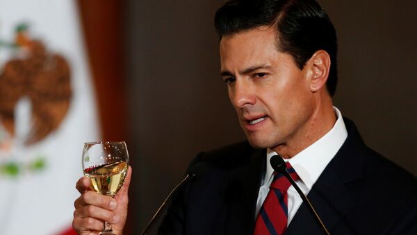 Meksika Devlet Başkanı Enrique Pena Nieto - Sputnik Türkiye