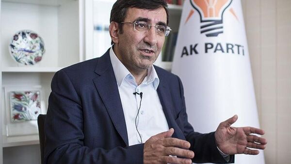 AK Parti Genel Başkan Yardımcısı Cevdet Yılmaz - Sputnik Türkiye