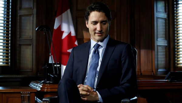 Klaver'ın da benzetildiği, son dönemlerin en gözde siyasetçisi Kanada Başbakanı Trudeau - Sputnik Türkiye