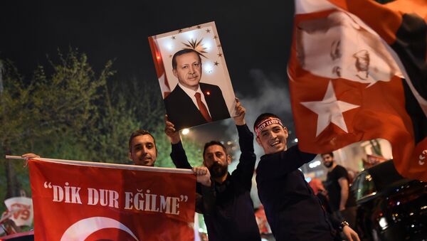 Anayasa değişikliği referandumu kutlamaları - Sputnik Türkiye