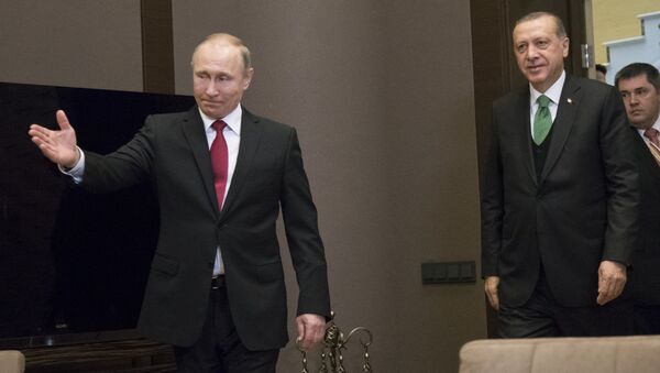 Erdoğan ve Putin, Soçi'de görüştü - Sputnik Türkiye