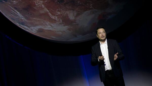Tesla Motors CEO'su Elon Musk - Sputnik Türkiye