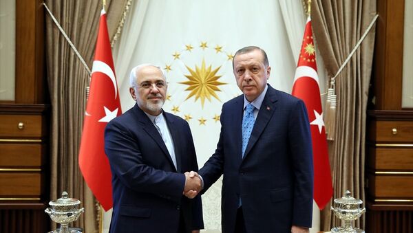 İran Dışişleri Bakanı Muhammed Cevad Zarif ve Cumhurbaşkanı Recep Tayyip Erdoğan - Sputnik Türkiye