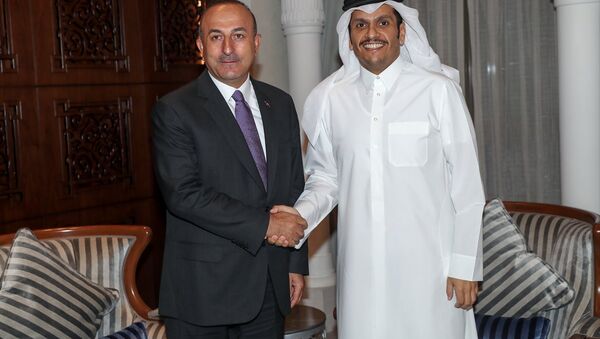 Dışişleri Bakanı mevlüt Çavuşoğlu, Katar Emiri Şeyh Temim bin Hamad el Sani ile birlikte - Sputnik Türkiye