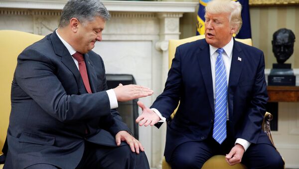 Ukrayna Devlet Başkanı Petro Poroşenko- ABD Başkanı Donald Trump - Sputnik Türkiye