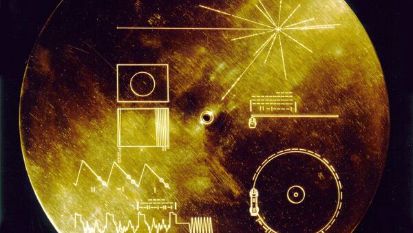 Voyager Altın Plak - Sputnik Türkiye