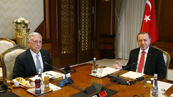 Cumhurbaşkanı Recep Tayyip Erdoğan ve ABD Savunma Bakanı James Mattis - Sputnik Türkiye