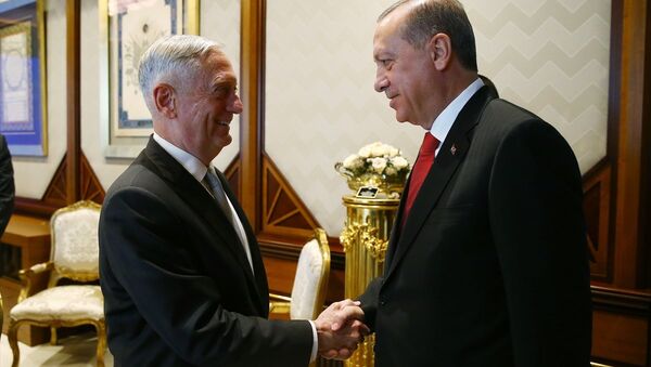 Erdoğan ve Mattis - Sputnik Türkiye