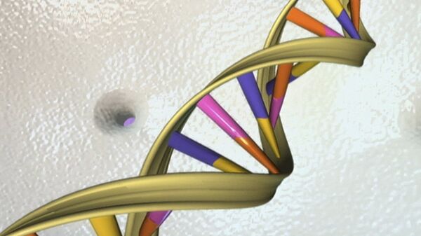 A DNA double helix is seen in an undated artist's illustration released by the National Human Genome Research Institute to Reuters on May 15, 2012 - Sputnik Türkiye