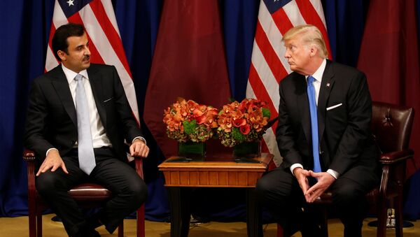 ABD Başkanı Donald Trump ile Katar Emiri Temim bin Hamad El Sani  - Sputnik Türkiye