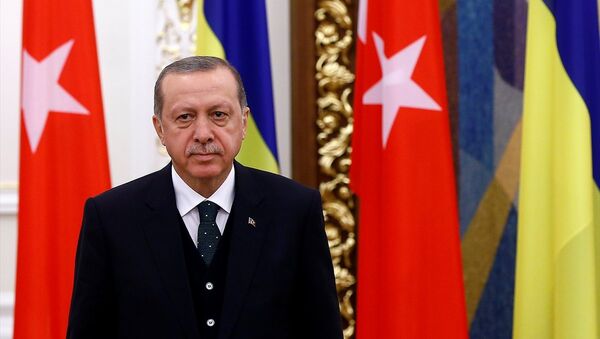 Cumhurbaşkanı Recep Tayyip Erdoğan, Ukrayna'da - Sputnik Türkiye