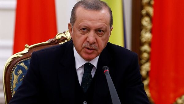 Cumhurbaşkanı Recep Tayyip Erdoğan, Ukrayna'da - Sputnik Türkiye