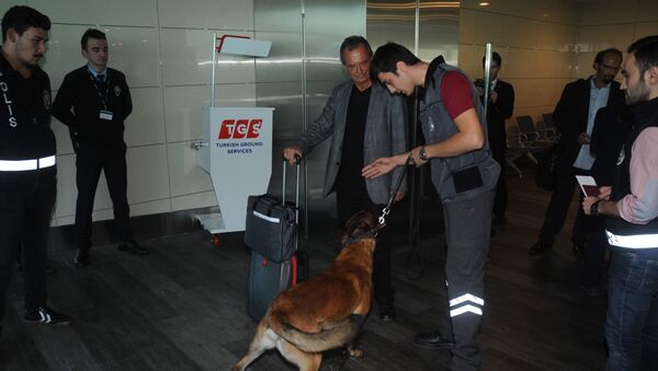 Atatürk Havalimanı'nda Avusturya yolcularına köpekli arama - Sputnik Türkiye