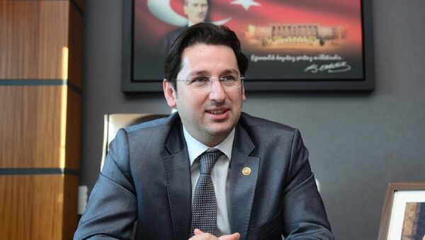 Eski CHP Bursa Milletvekili Doç. Dr. Aykan Erdemir - Sputnik Türkiye