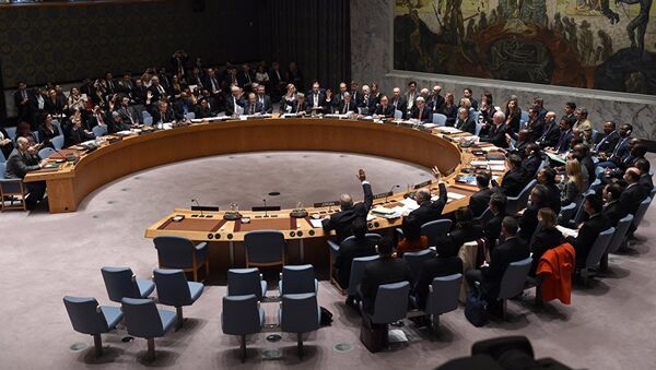 Birleşmiş Milletler Güvenlik Konseyi toplantısı - Sputnik Türkiye