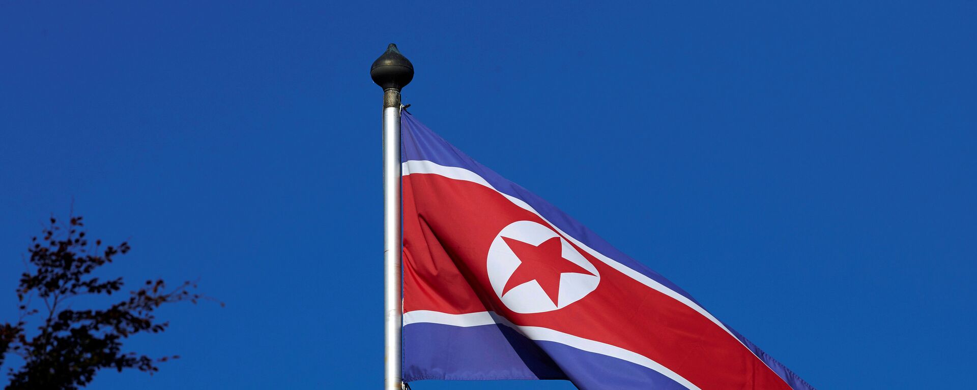 Kuzey Kore bayrağı - Sputnik Türkiye, 1920, 04.10.2022