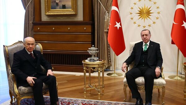 Cumhurbaşkanı Recep Tayyip Erdoğan, MHP Genel Başkanı Devlet Bahçeli - Sputnik Türkiye