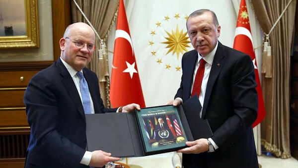 Cumhurbaşkanı Recep Tayyip Erdoğan, General Electric Üst Yöneticisi John Flannery’i Cumhurbaşkanlığı Külliyesi'nde kabul etti. - Sputnik Türkiye