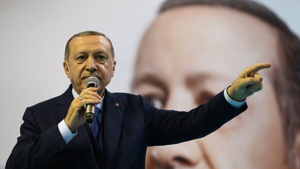 Erdoğan AKP Denizli - Sputnik Türkiye