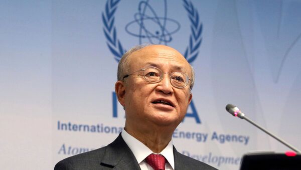 Uluslararası Atom Enerjisi Ajansı Başkanı Yukiya Amano - Sputnik Türkiye