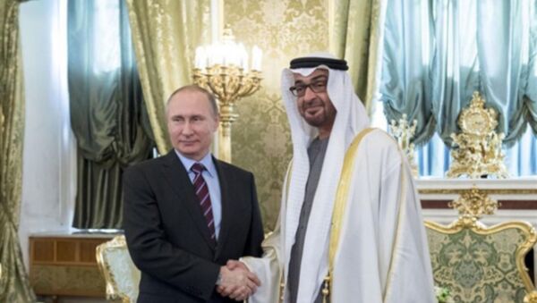 Rusya ve BAE, Ortadoğu'yu kitle imha silahlarından arındırmak için stratejik işbirliği yapacak, Putin ve Zayed - Sputnik Türkiye