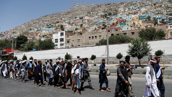 Afganistan'daki Helmend Barış Yürüyüşü, Kabil'de sona erdi - Sputnik Türkiye