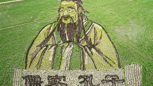 Çin'deki pirinç tarlalarında sanat eserleri - Sputnik Türkiye