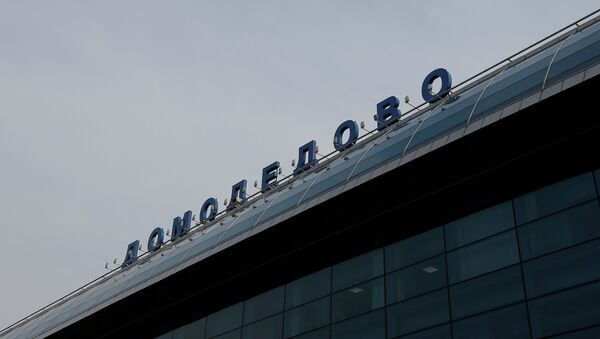 Domodedovo Havalimanı - Sputnik Türkiye