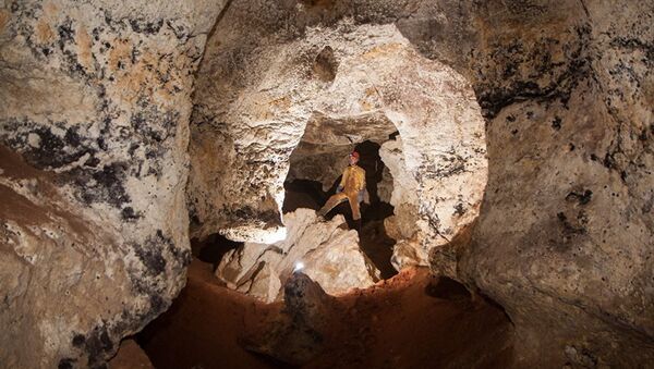 Kırım'da mamut kalıntılarının bulunduğu bir mağara açığa çıkarıldı - Sputnik Türkiye