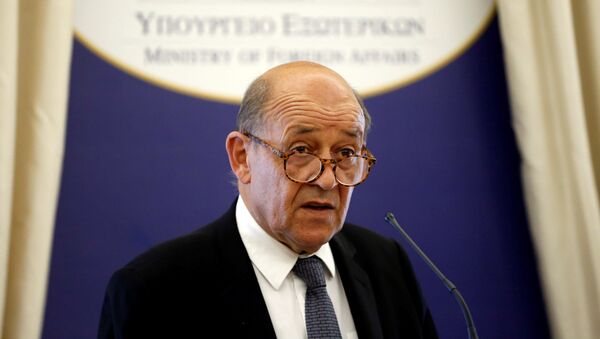 Fransa Dışişleri Bakanı Jean-Yves Le Drian - Sputnik Türkiye