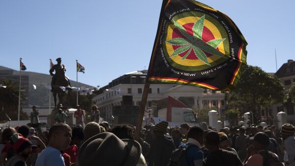Cape Town'daki Güney Afrika Parlamentosu önünde esrarın yasallaştırılması için gösteri yapan eylemciler - Sputnik Türkiye