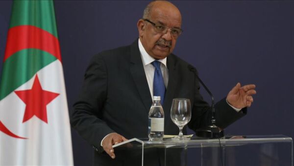 Cezayirli Bakan'ın BM'de Fransızca konuşması, ülkesinde tepkilere neden oldu - Sputnik Türkiye