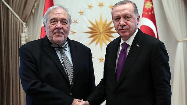 İlber Ortaylı - Recep Tayyip Erdoğan - Sputnik Türkiye