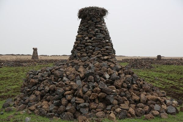 ‘Kuşçu’ denilen Mehmet Salih Arslan leylekler için yaptığı taştan kuleler - Sputnik Türkiye