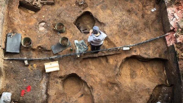 Moskova Bölgesi'nde içine define saklanmış mamuta ait kafatası bulundu - Sputnik Türkiye