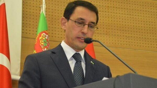 Türkmenistan'ın Ankara Büyükelçisi İsankuli Amanlıyev - Sputnik Türkiye