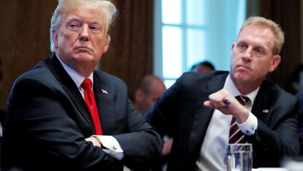 2 Ocak 2019'da Beyaz Saray'daki kabine toplantısında Trump ile Shanahan yan yana - Sputnik Türkiye