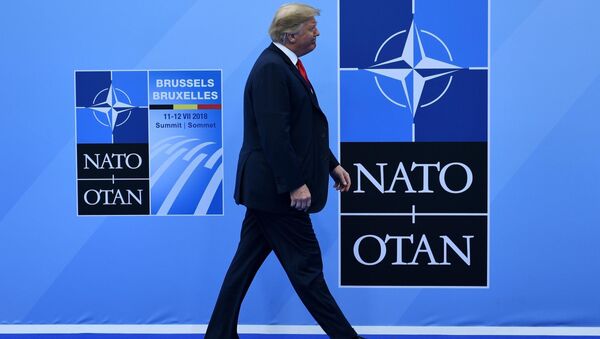 Donald Trump'ın 11 Temmuz 2018 NATO zirvesine gelişi - Sputnik Türkiye