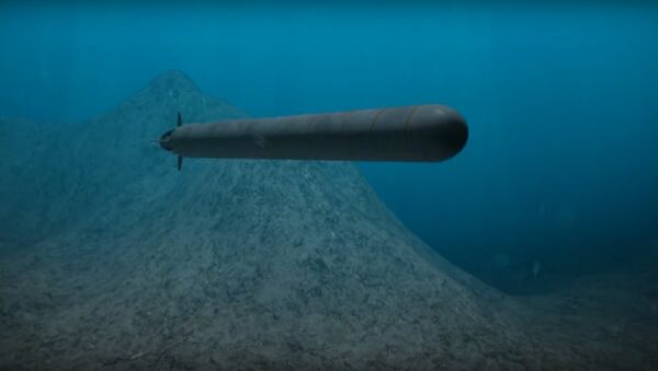Oceanic multipurpose system equipped with unmanned underwater vehicles - Sputnik Türkiye