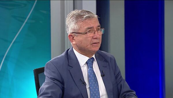 Prof. Dr. Mesut Hakkı Caşın - Sputnik Türkiye
