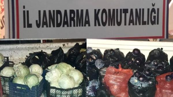 Bahçelerden çaldıkları meyve ve sebzeleri pazarda satan 3 şüpheli suçüstü yakalandı - Sputnik Türkiye
