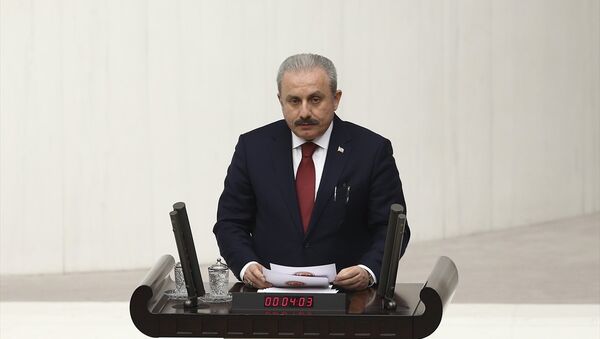 AK Parti Tekirdağ Milletvekili Mustafa Şentop - Sputnik Türkiye